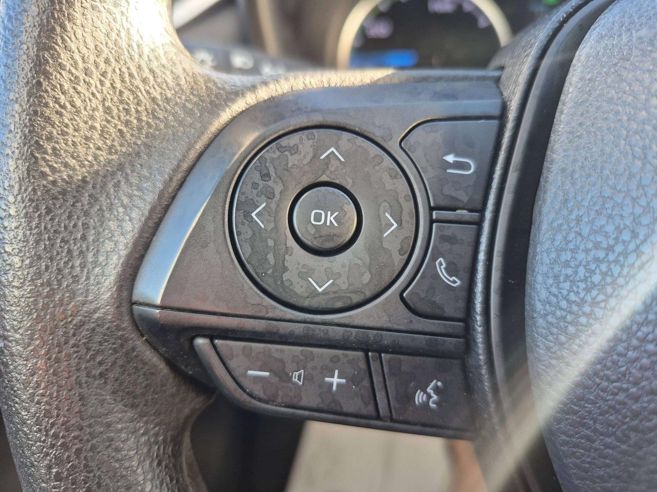 2019 Toyota RAV4 LE Photo