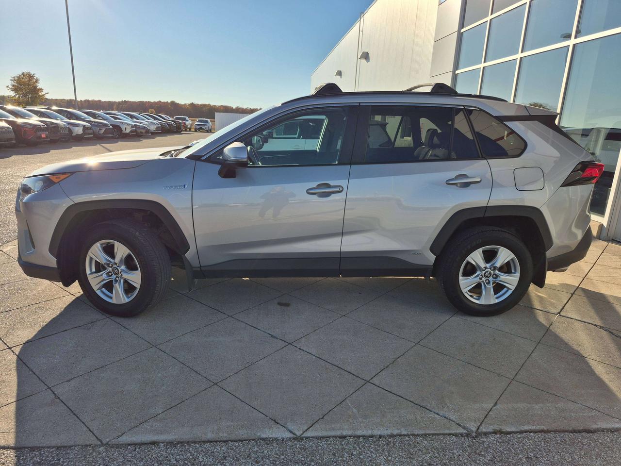 2019 Toyota RAV4 LE Photo