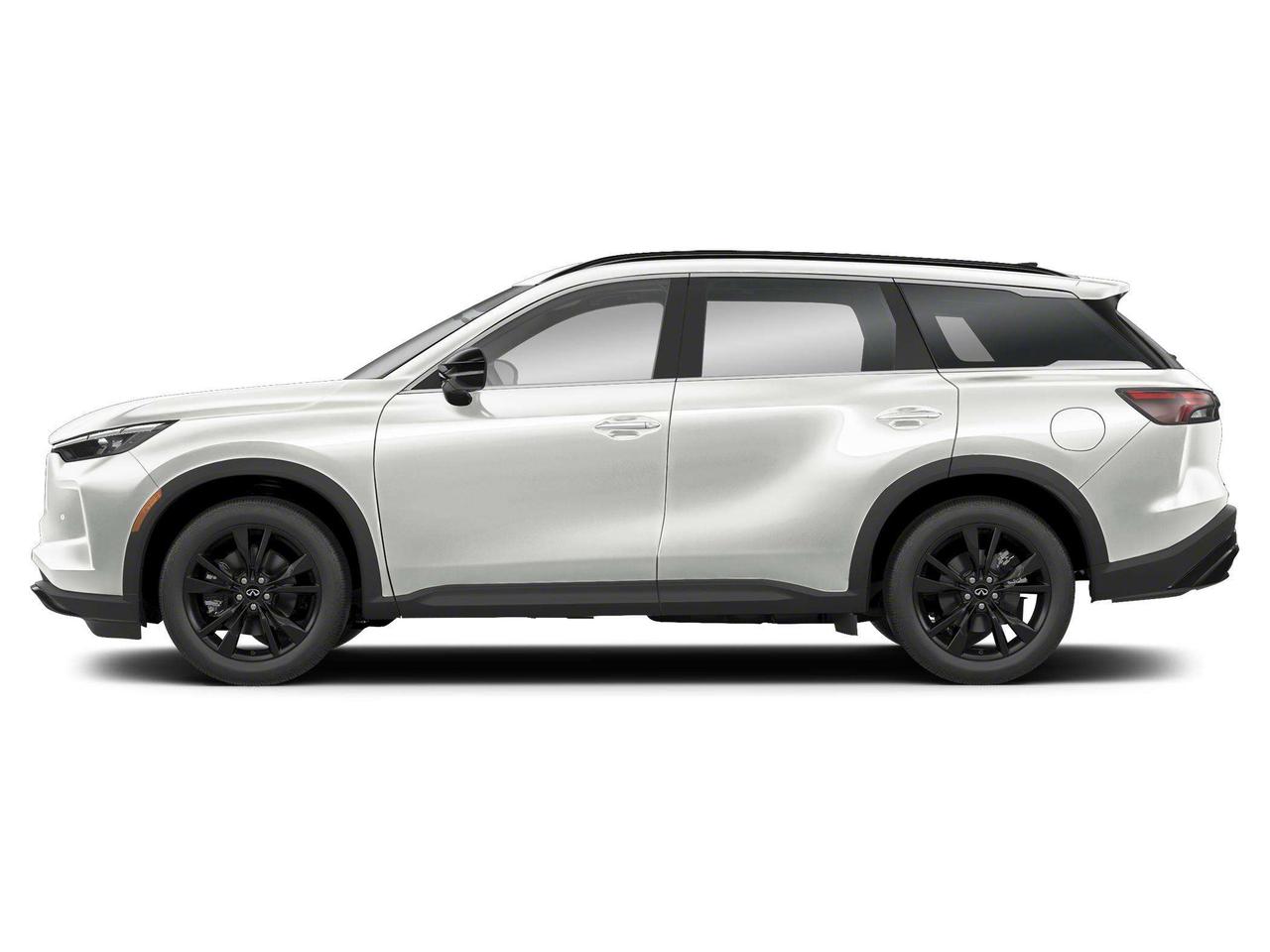 2025 Infiniti QX60 BLACK EDITION  - Navigation Photo