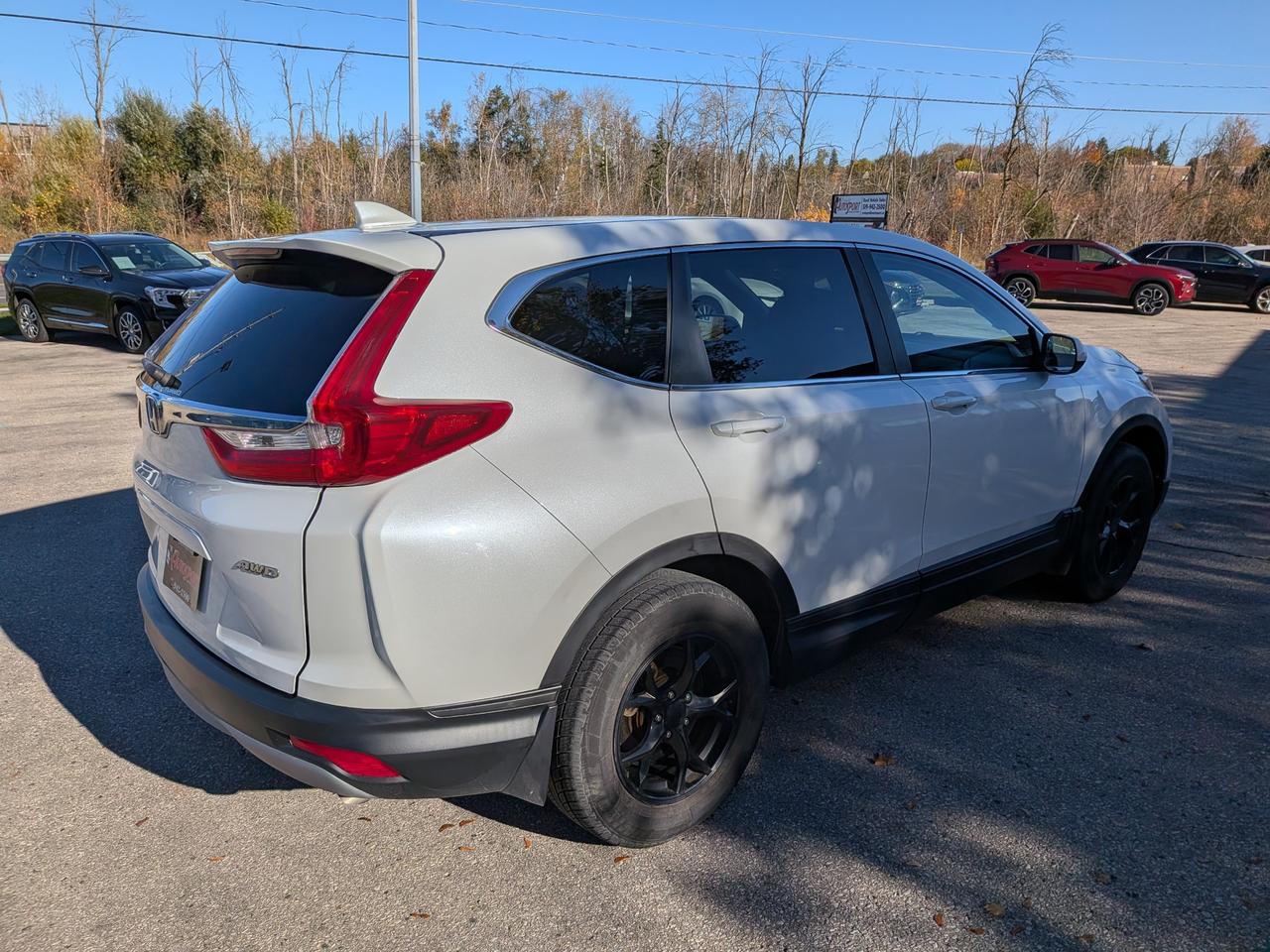 2019 Honda CR-V  Photo4