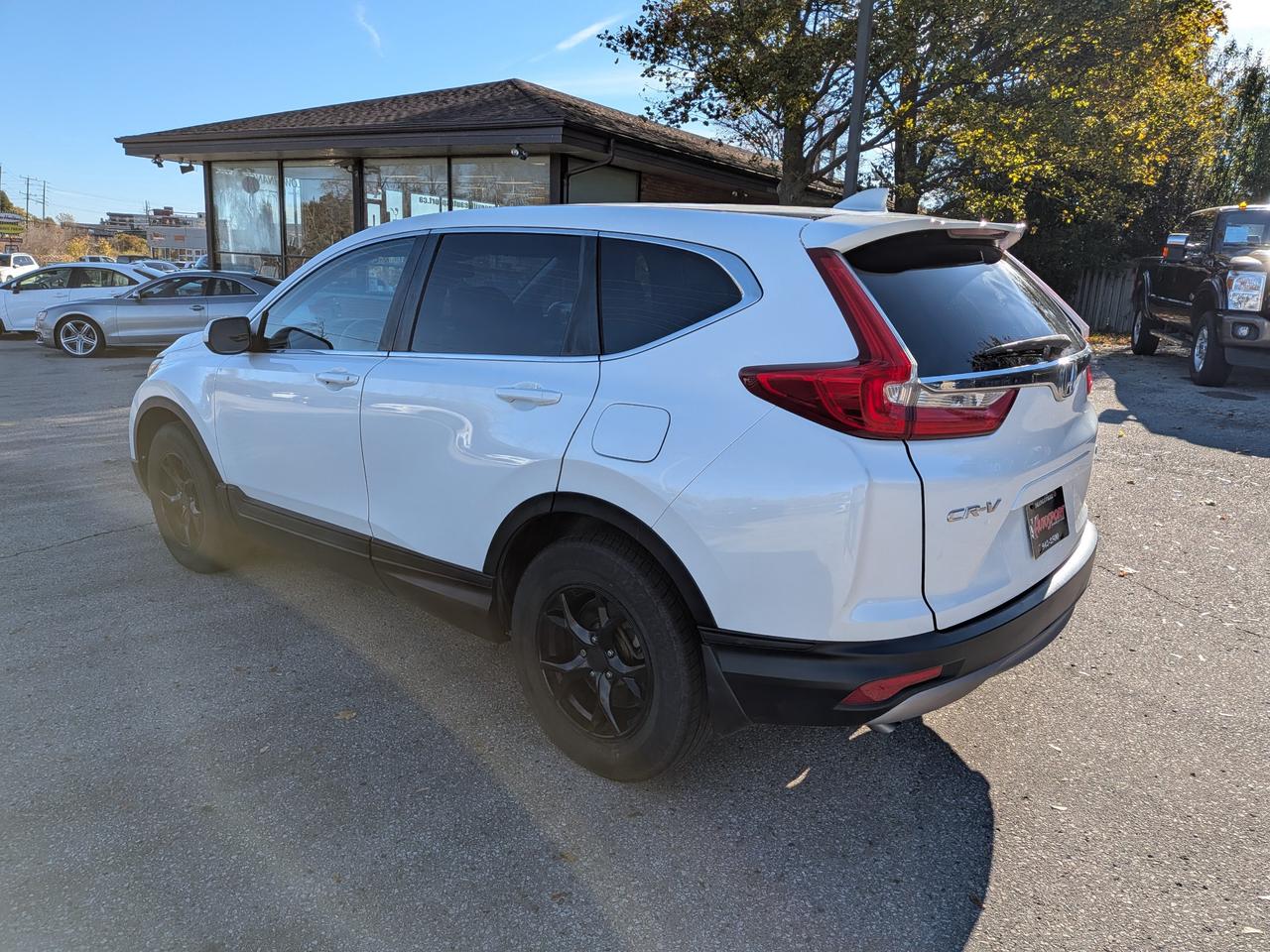 2019 Honda CR-V  Photo