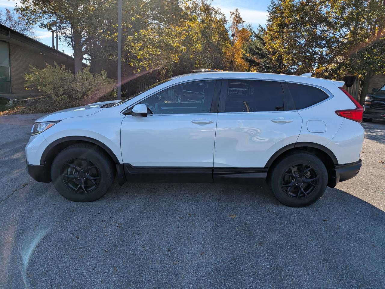 2019 Honda CR-V  Photo