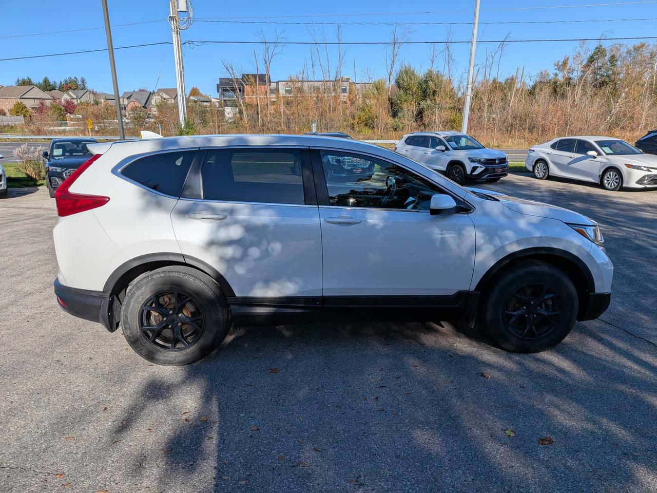 2019 Honda CR-V  Photo