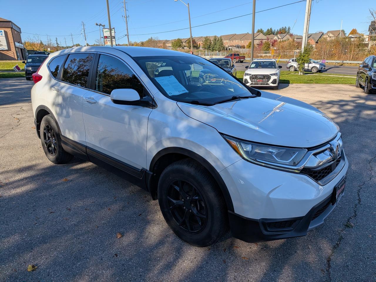 2019 Honda CR-V  Photo