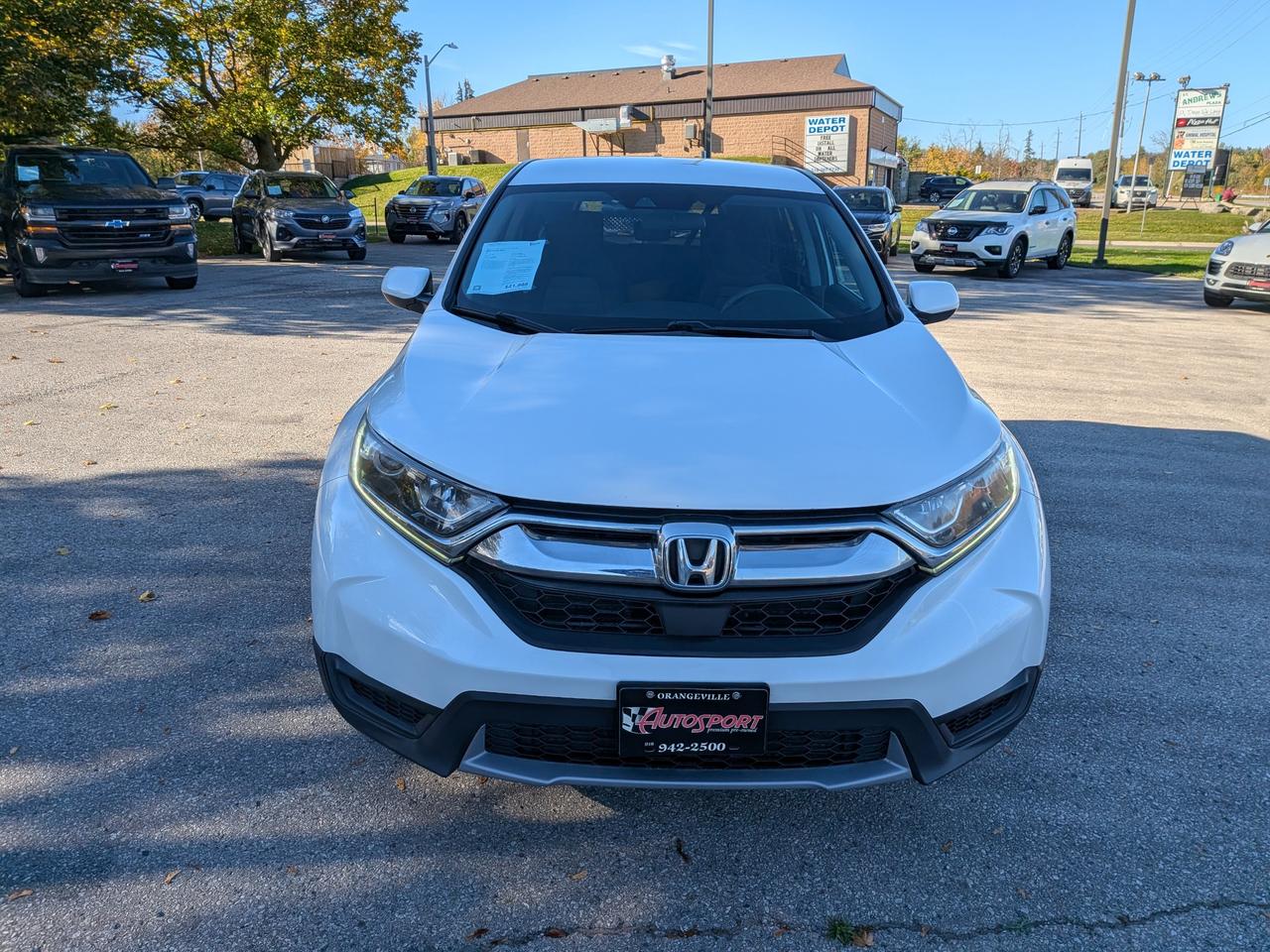 2019 Honda CR-V  Photo