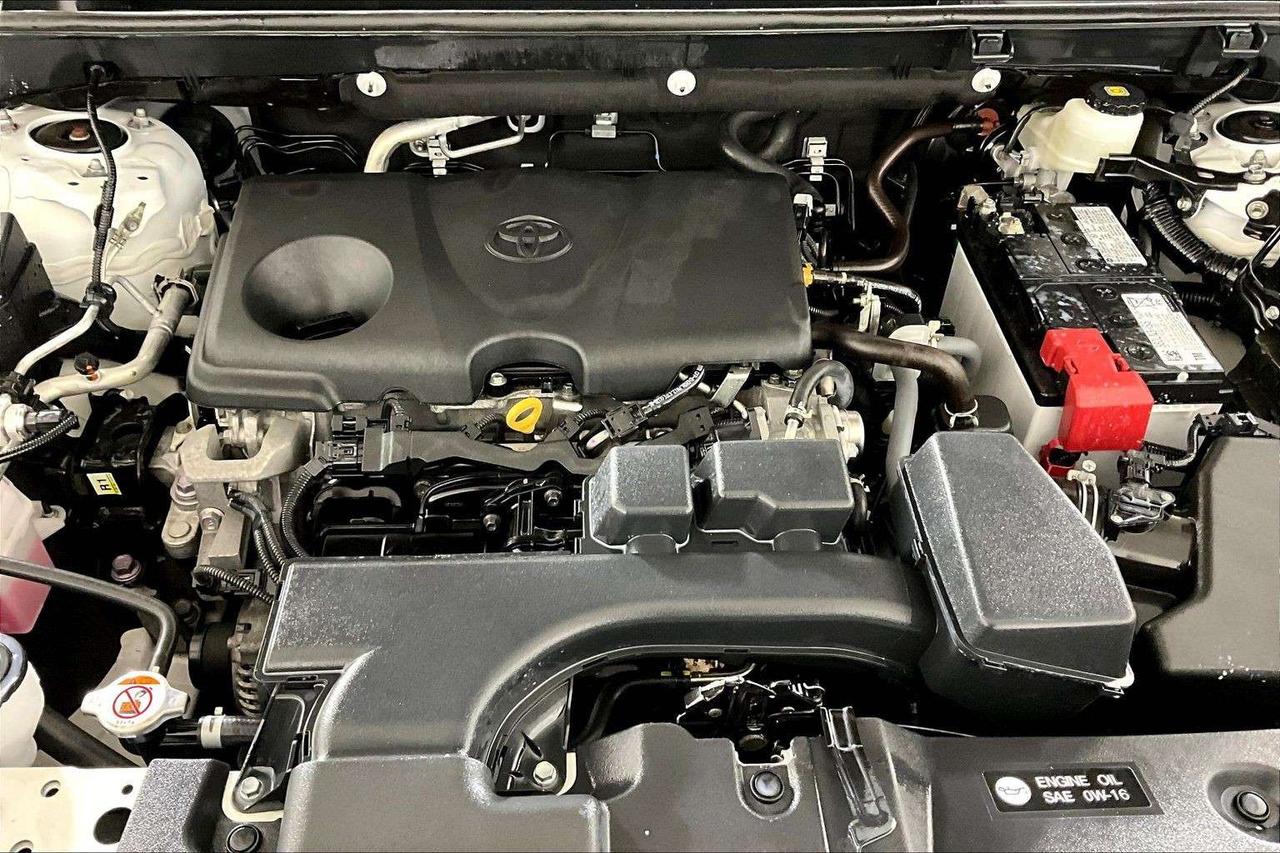 2024 Toyota RAV4 LE AWD Photo