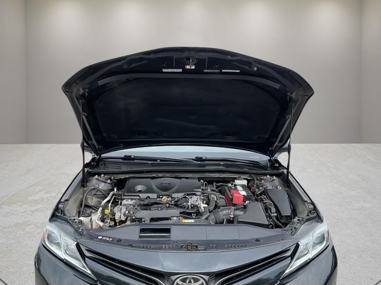 2020 Toyota Camry LE 4dr All-Wheel Drive Sedan Photo