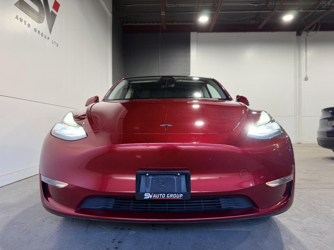 2024 Tesla Model Y LONG RANGE Photo