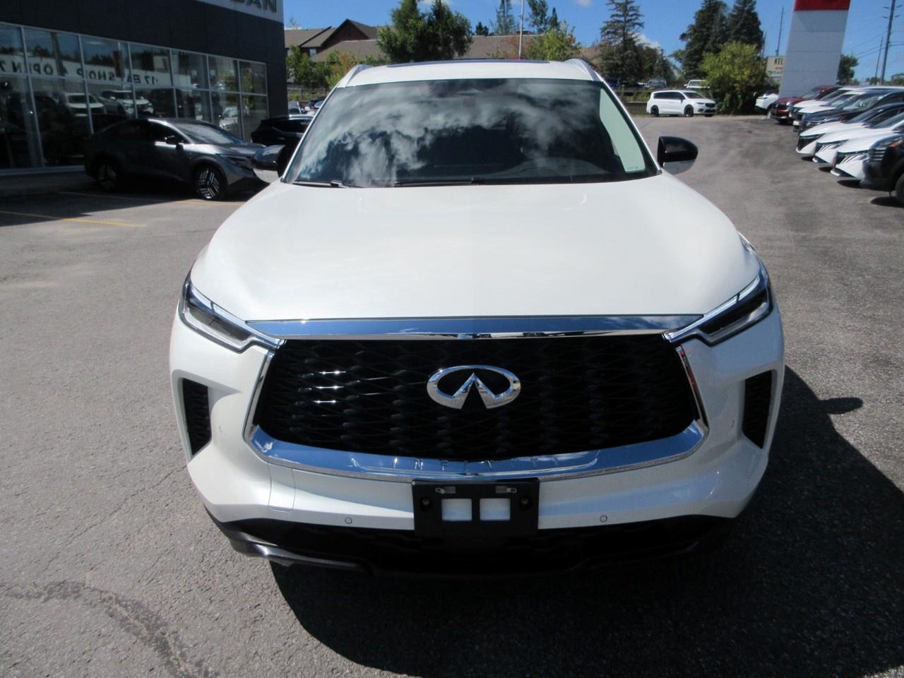 2024 Infiniti QX60 LUXE AWD Photo