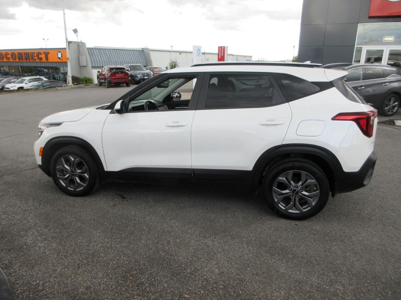 2024 Kia Seltos LX FWD Photo