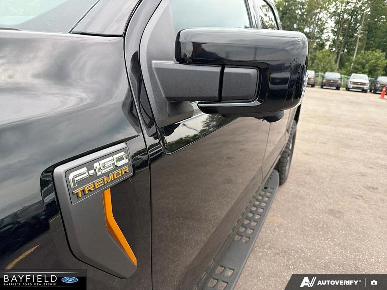 2026 Ford F-150 Tremor Photo