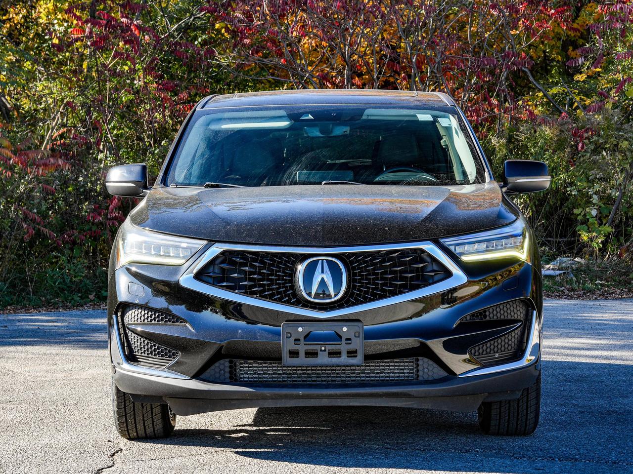 2020 Acura RDX ELITE Photo4