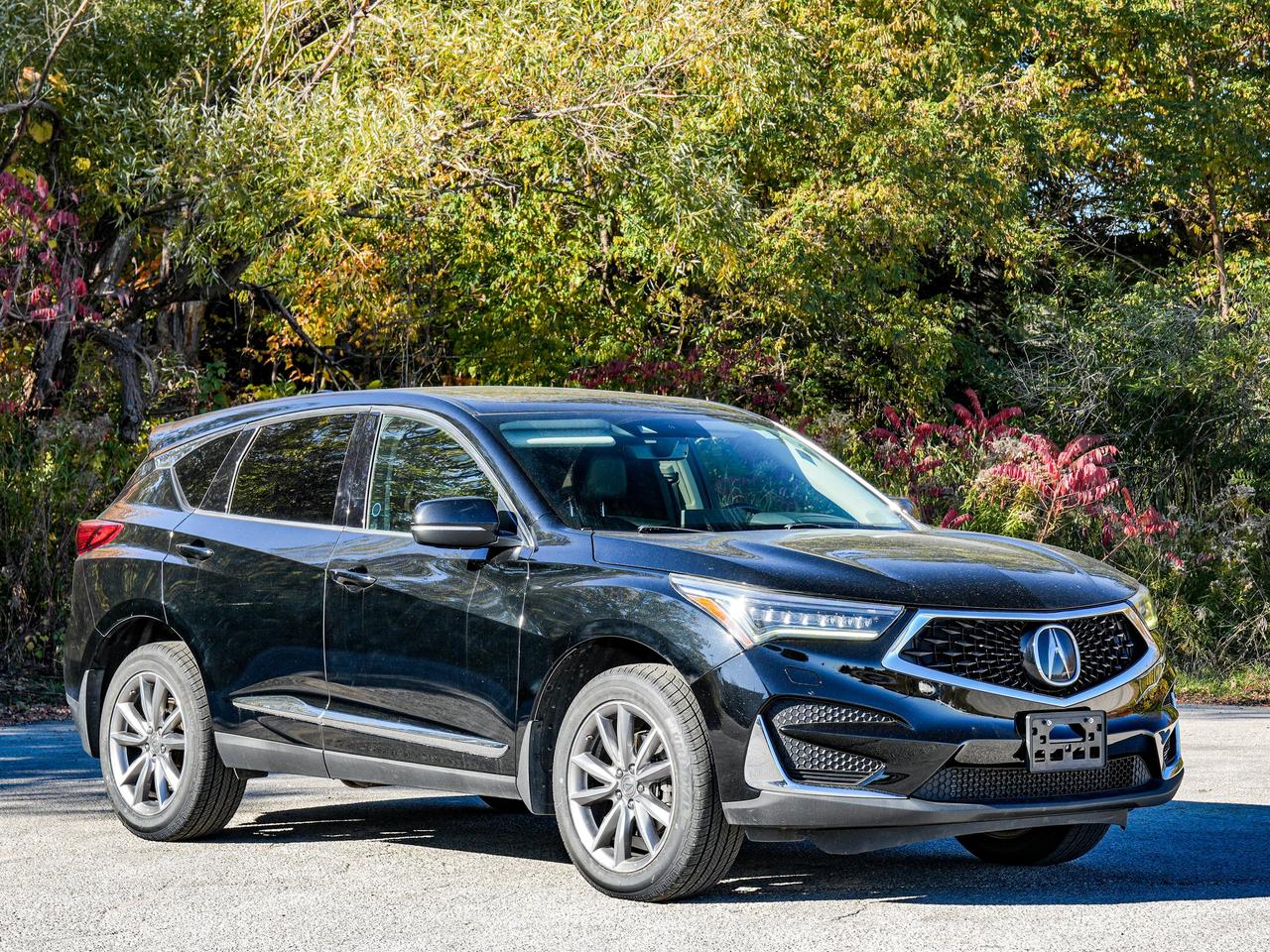 2020 Acura RDX ELITE Photo