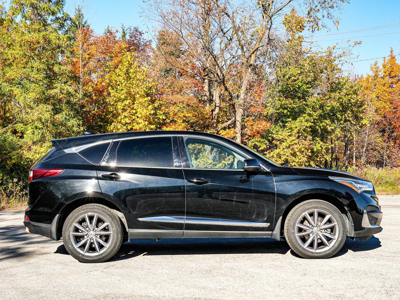 2020 Acura RDX ELITE Photo