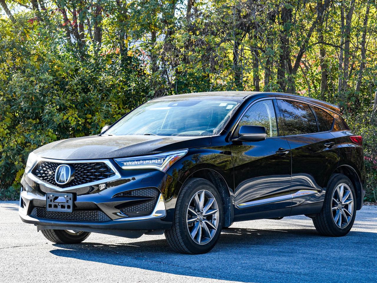 2020 Acura RDX ELITE Photo