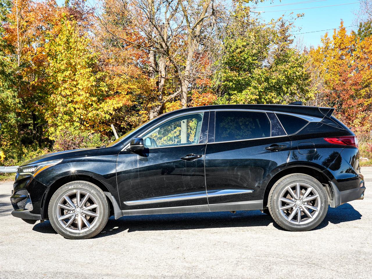 2020 Acura RDX ELITE Photo