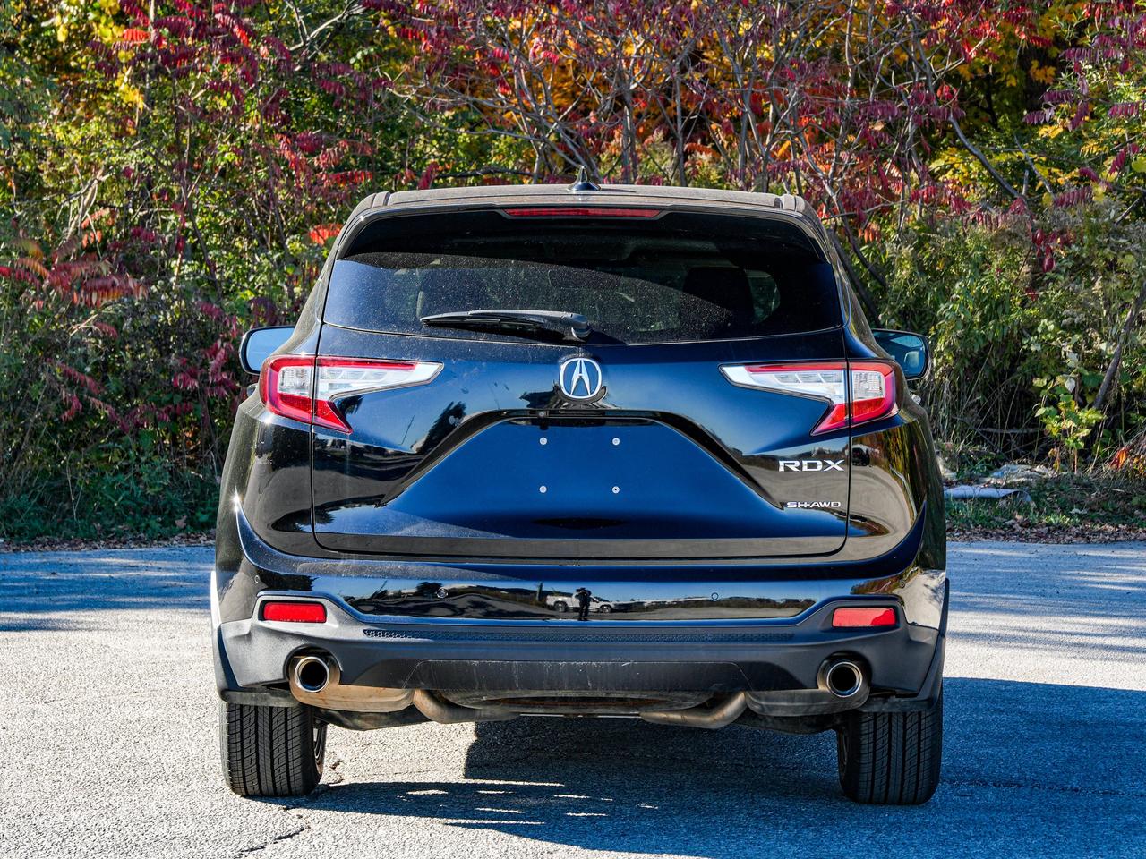 2020 Acura RDX ELITE Photo