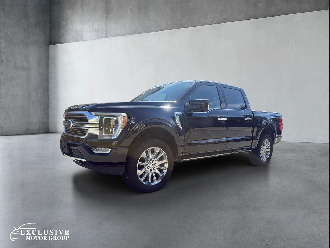 2022 Ford F-150 Limited  Photo