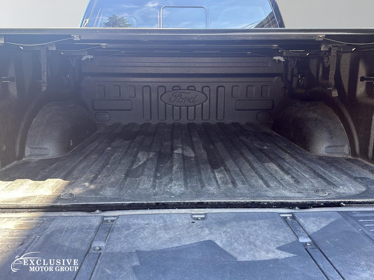 2022 Ford F-150 Limited  Photo