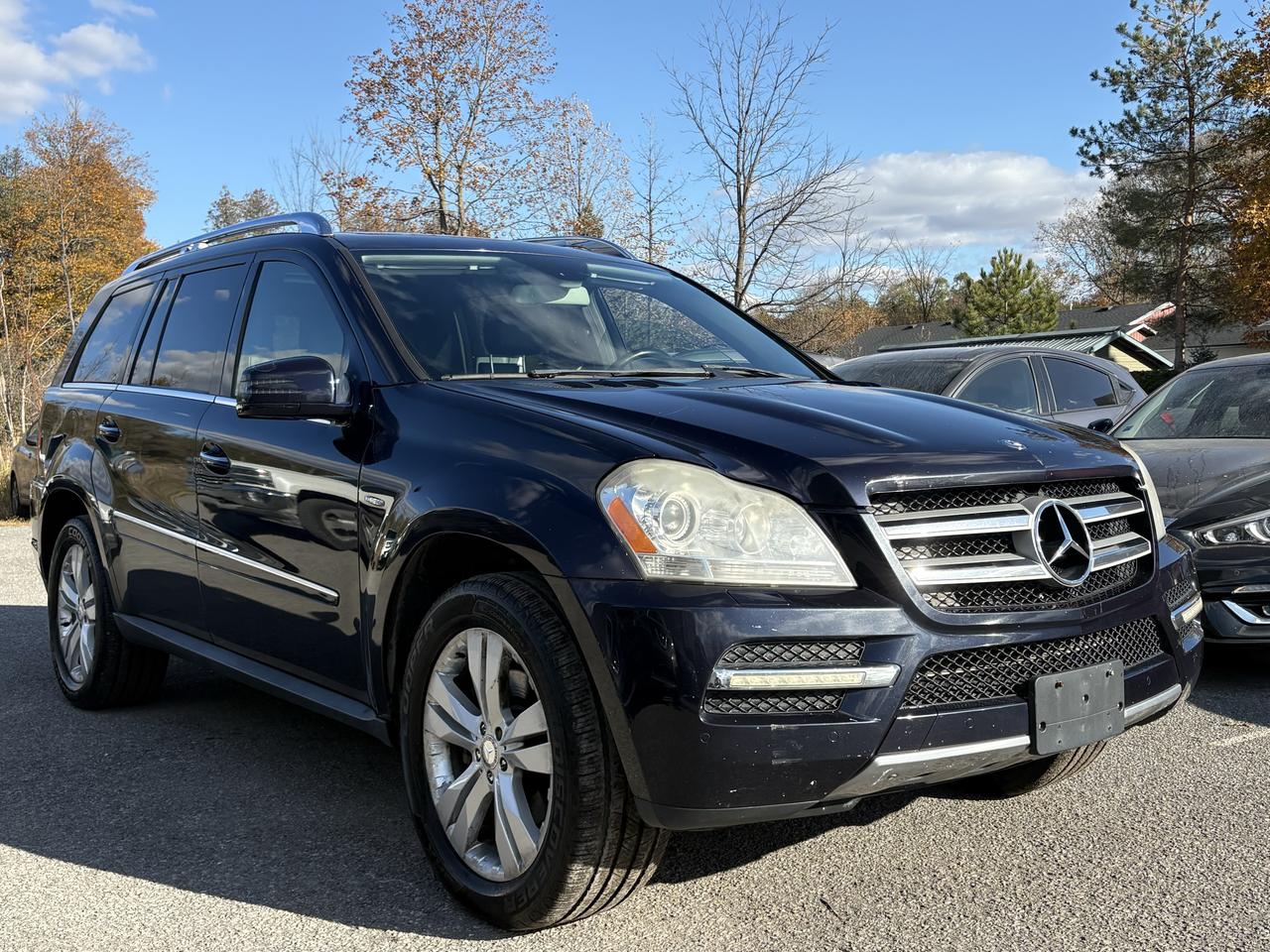 2011 Mercedes-Benz GL-Class GL 350 BlueTec Photo0