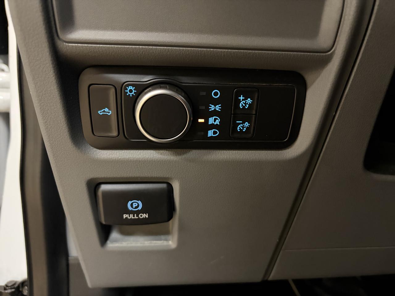2021 Ford F-150 XL Photo