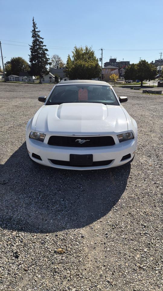 2010 Ford Mustang V6 Photo