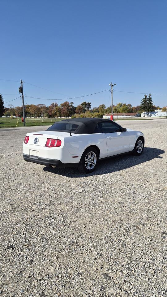 2010 Ford Mustang V6 Photo