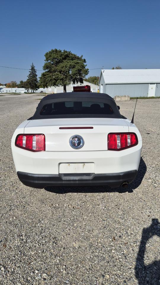 2010 Ford Mustang V6 Photo