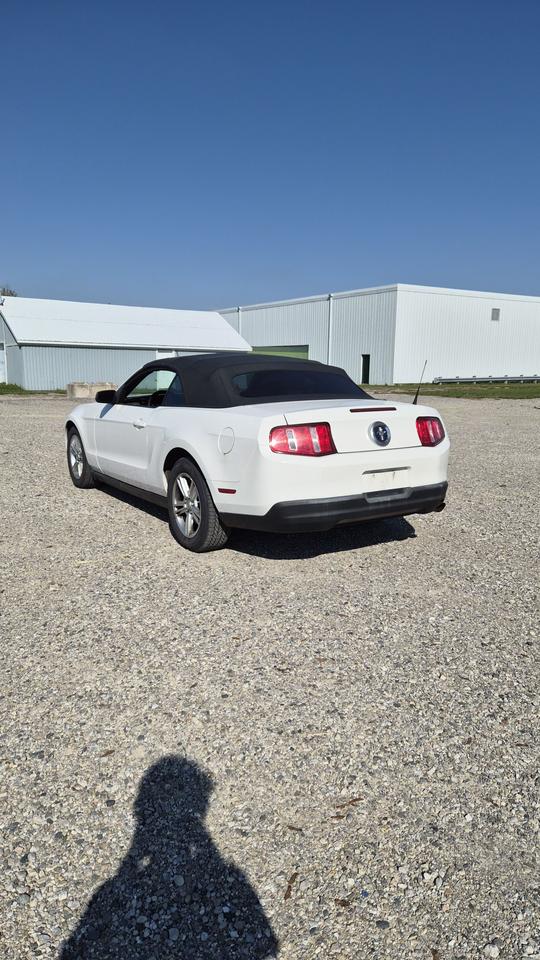 2010 Ford Mustang V6 Photo