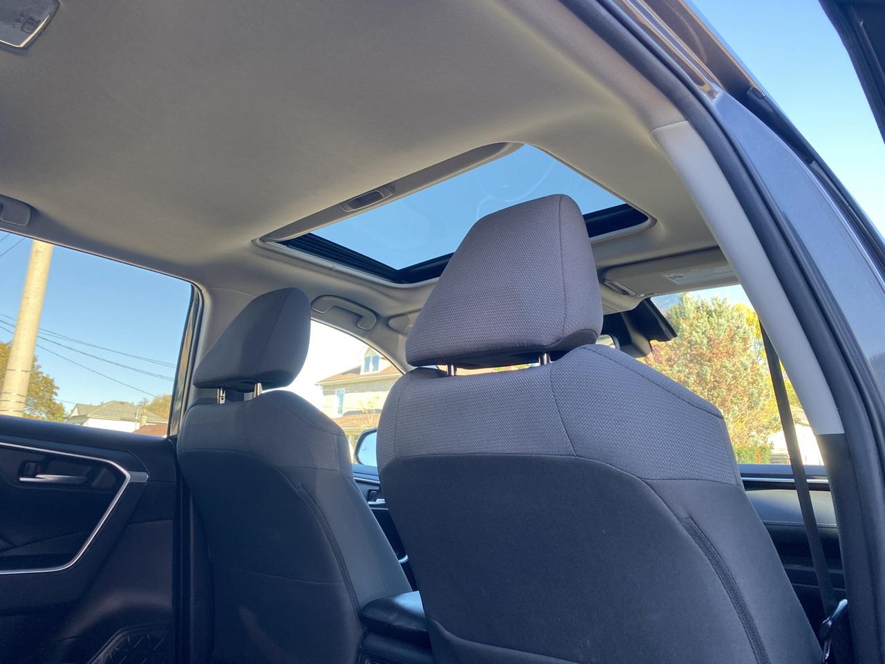 2019 Toyota RAV4 XLE AWD Photo