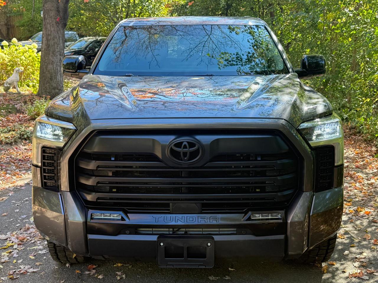 2024 Toyota Tundra Limited  Photo