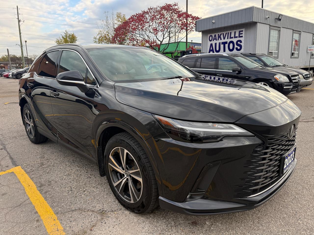 2023 Lexus RX 350 RX 350 Auto Photo