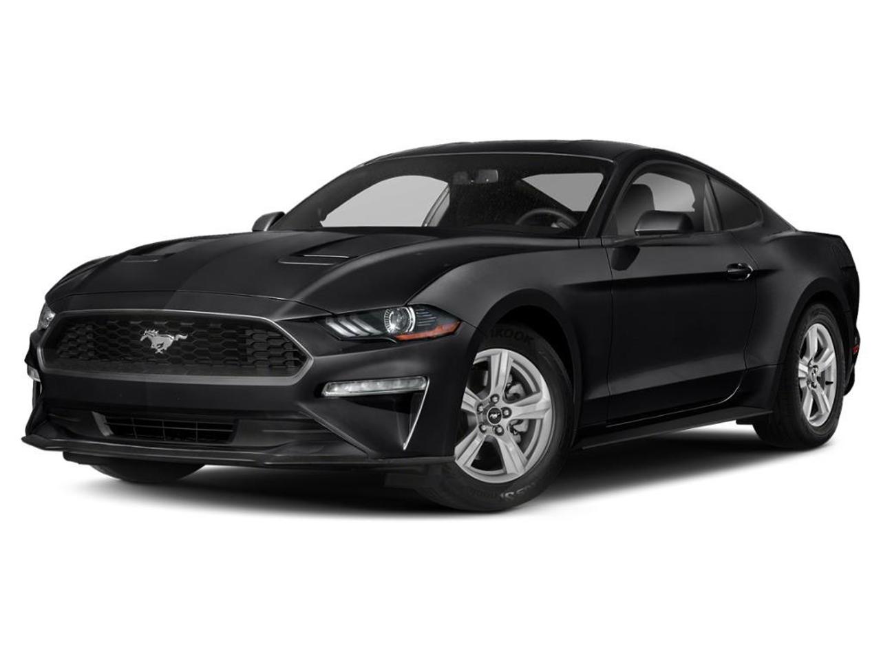 2019 Ford Mustang EcoBoost Photo