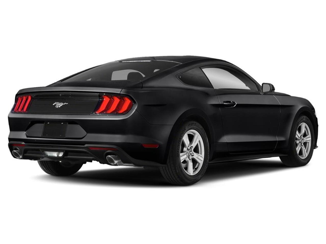 2019 Ford Mustang EcoBoost Photo2