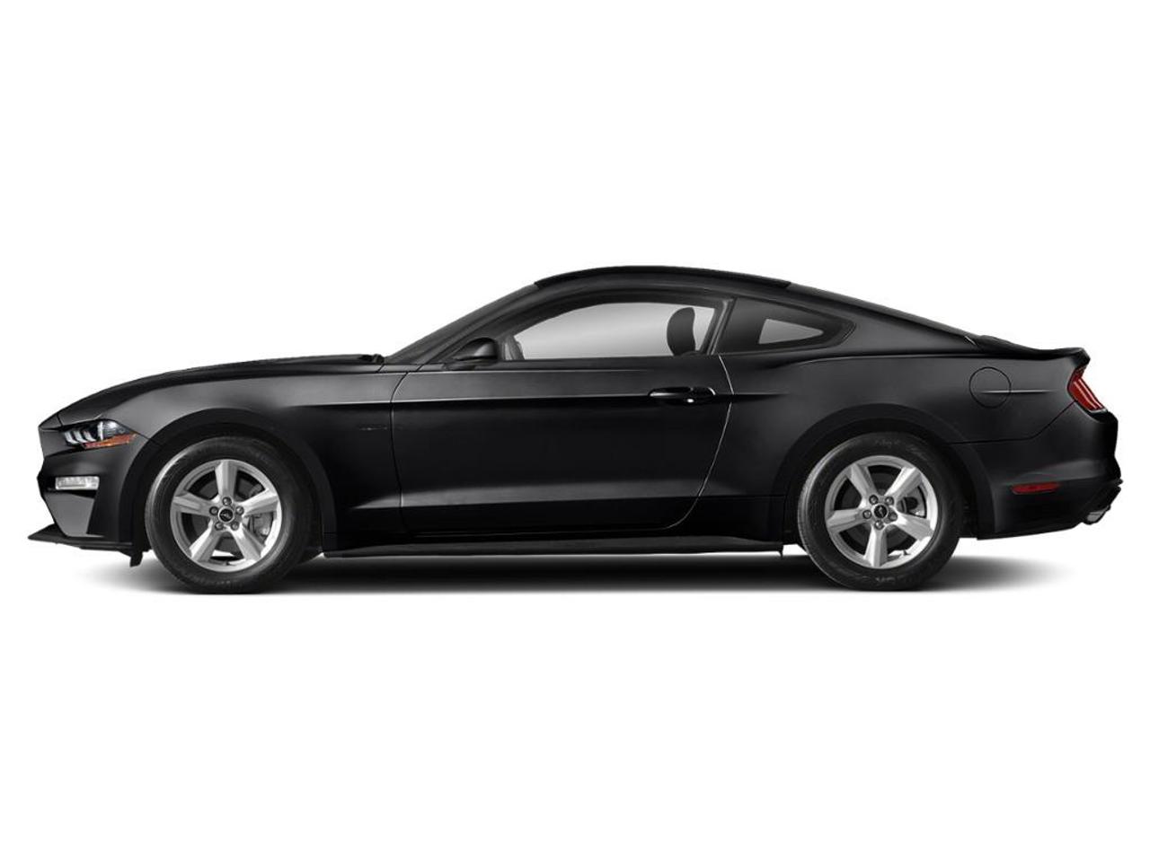 2019 Ford Mustang EcoBoost Photo5