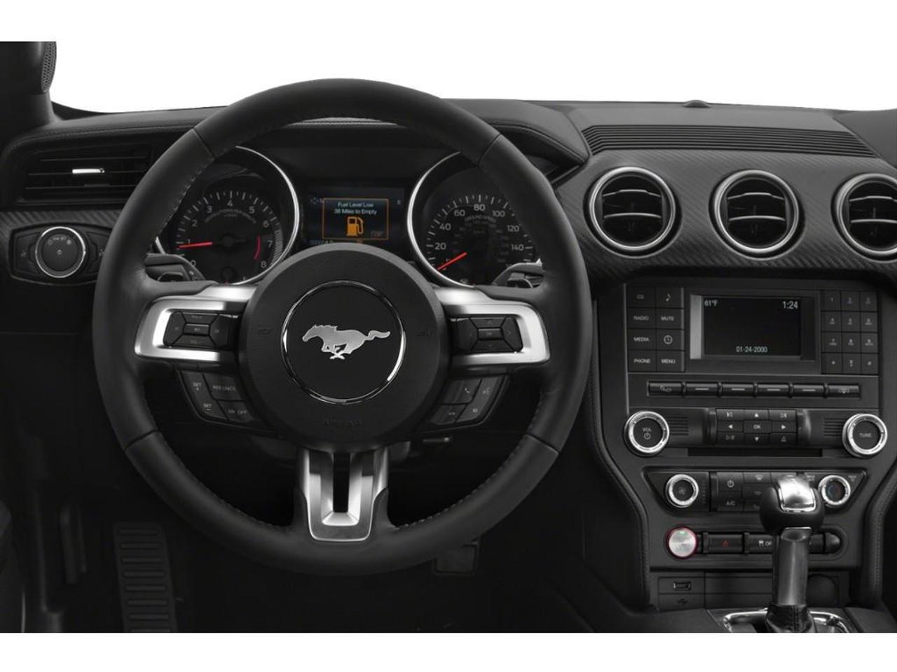 2019 Ford Mustang EcoBoost Photo