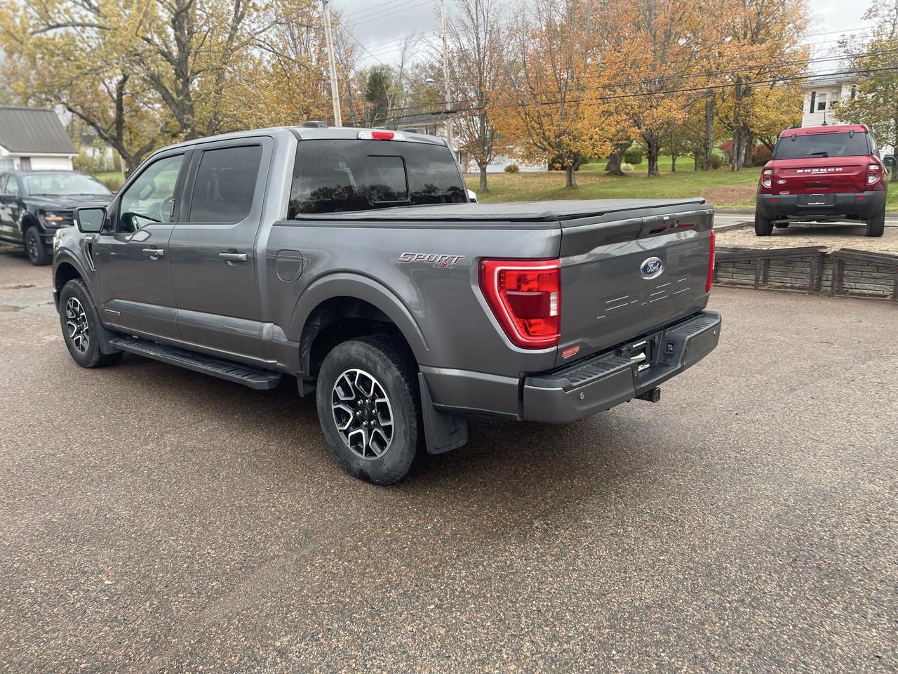 2022 Ford F-150 XLT Photo4