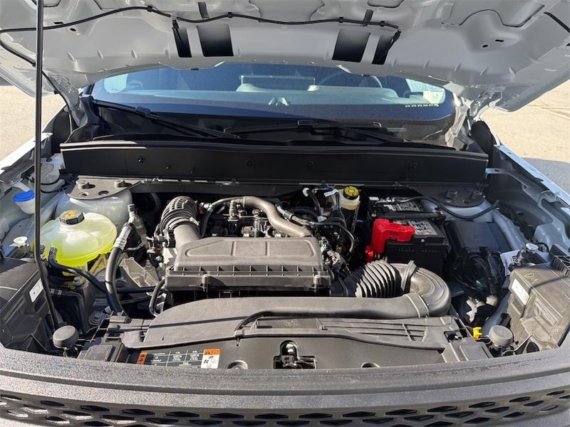 Image 19