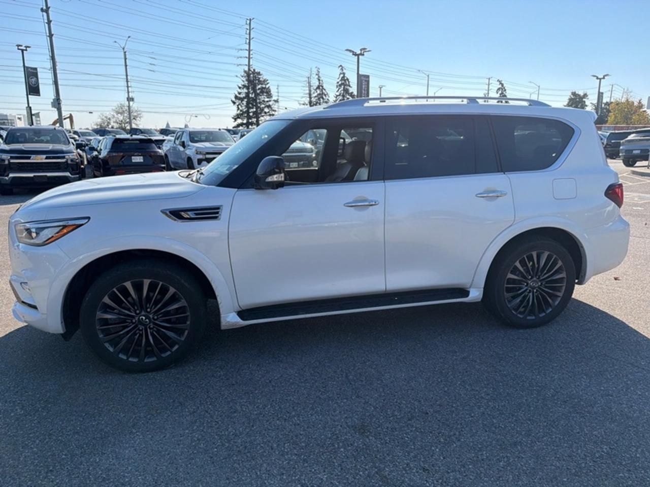 2023 Infiniti QX80 ProACTIVE 8-Passenger  DVD|DIAMOND STITCH LEATHER Photo3