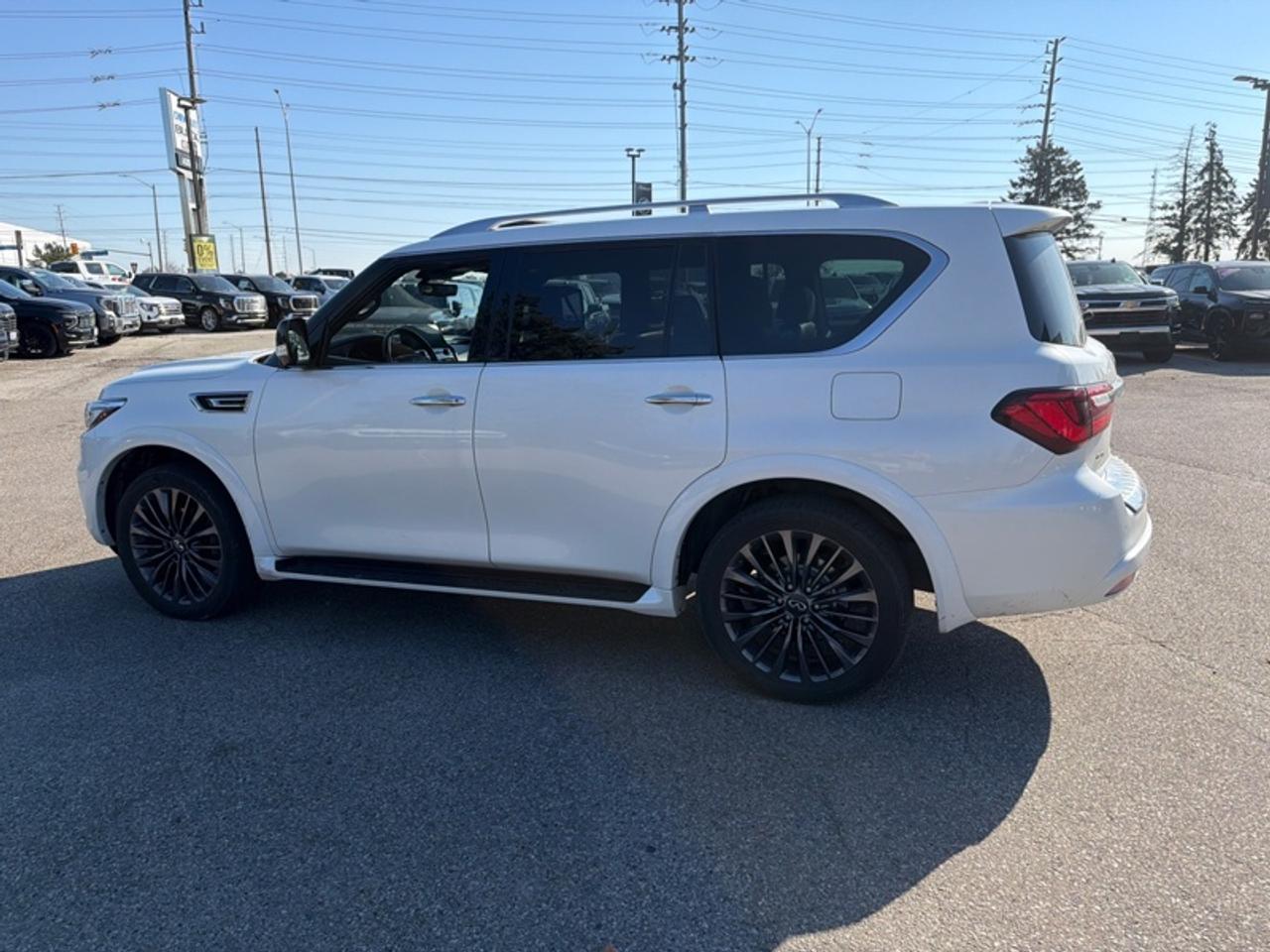 2023 Infiniti QX80 ProACTIVE 8-Passenger  DVD|DIAMOND STITCH LEATHER Photo