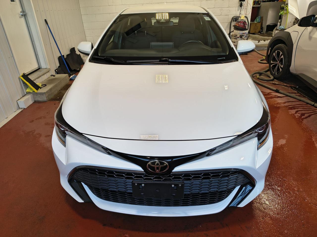 2022 Toyota Corolla  Photo