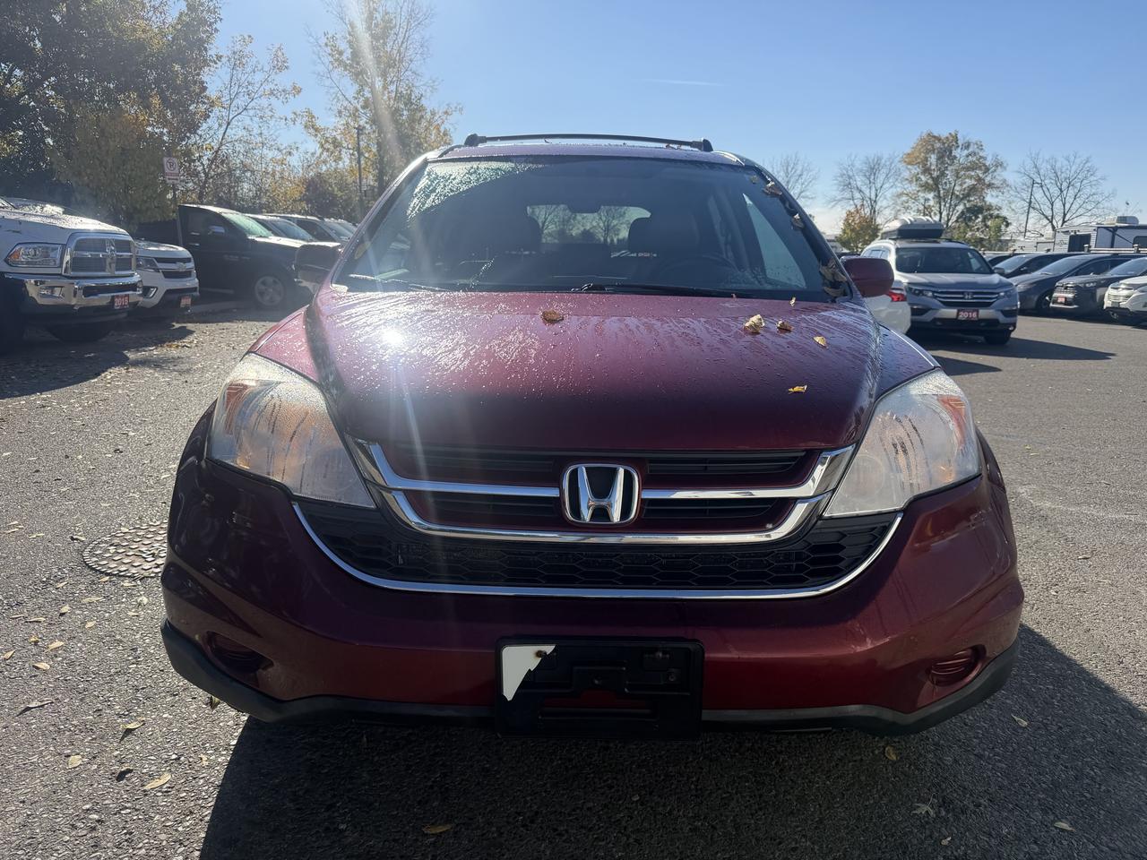 2010 Honda CR-V EX-L Photo