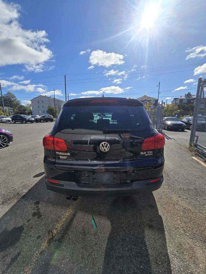 Image 6