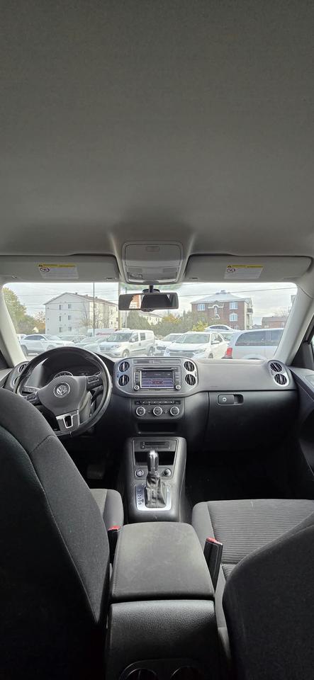 Image 8
