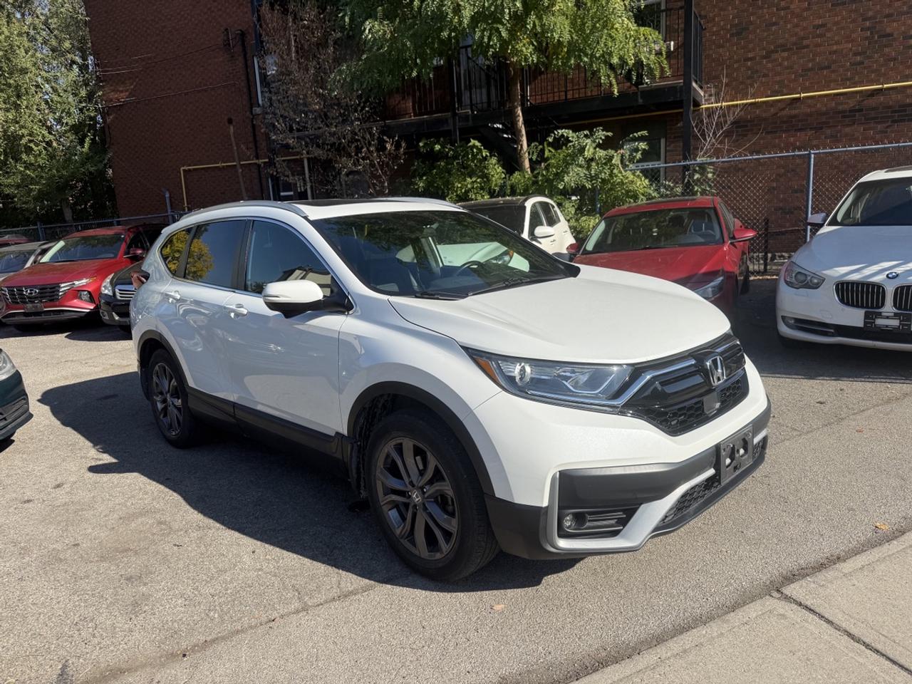 2022 Honda CR-V Sport Photo