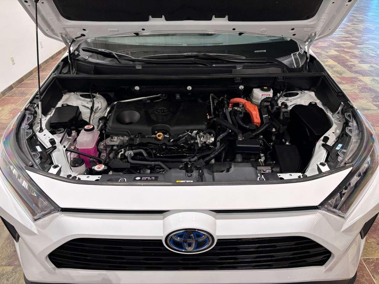 2023 Toyota RAV4 Hybrid LE AWD Photo