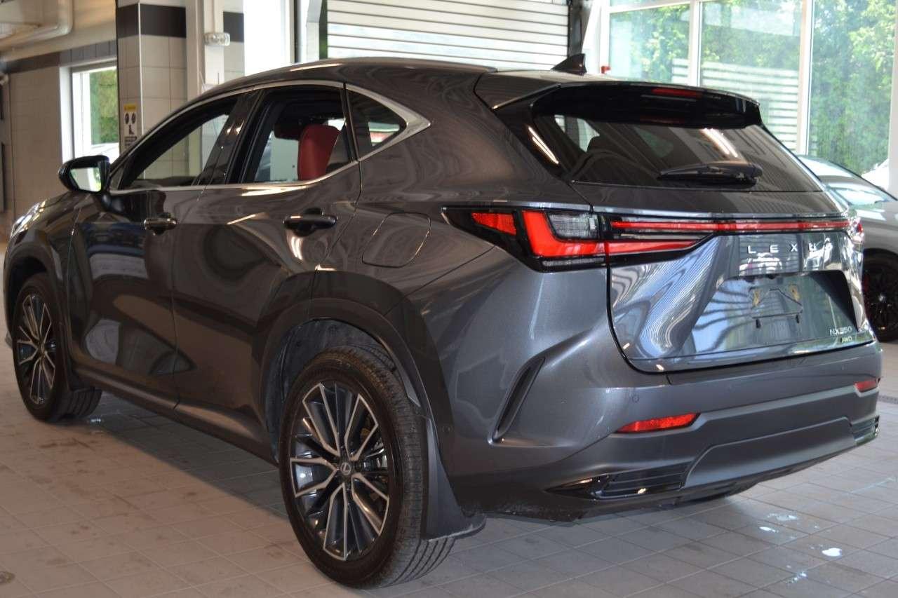 2025 Lexus NX 350 EXECUTIVE Photo5