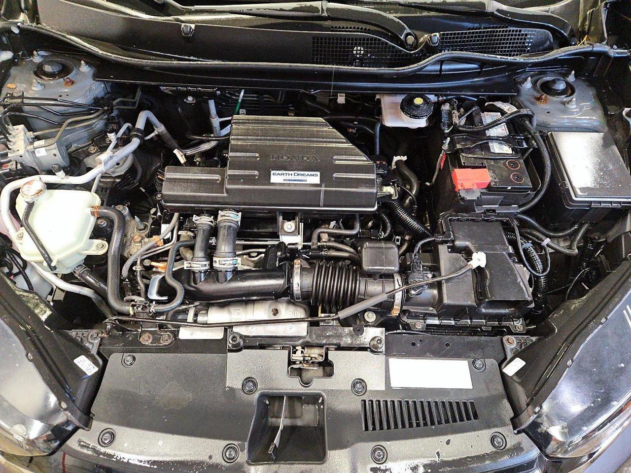 2020 Honda CR-V LX Photo