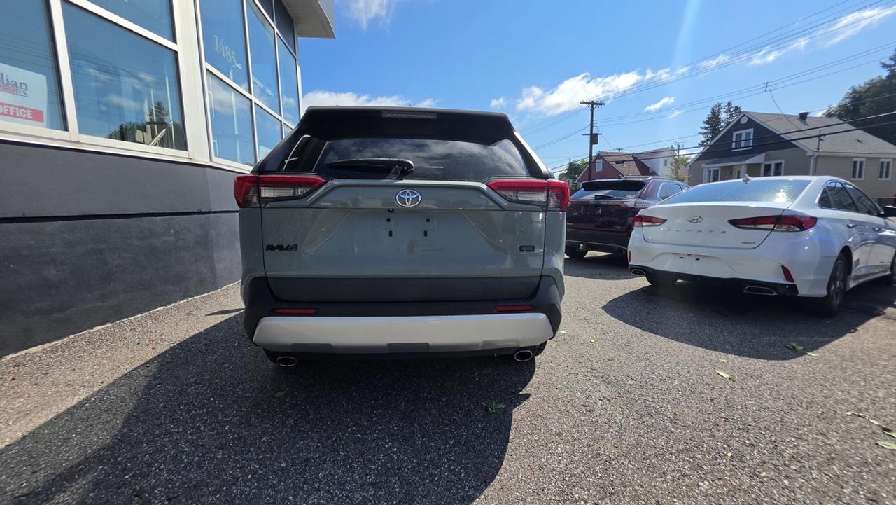 2019 Toyota RAV4 Adventure Photo