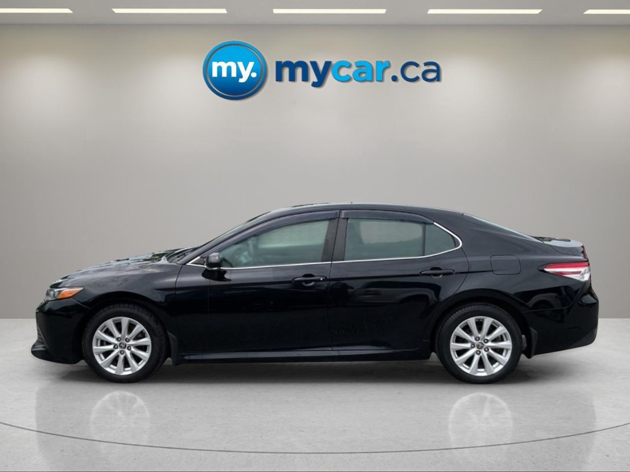 2020 Toyota Camry LE 4dr All-Wheel Drive Sedan Photo